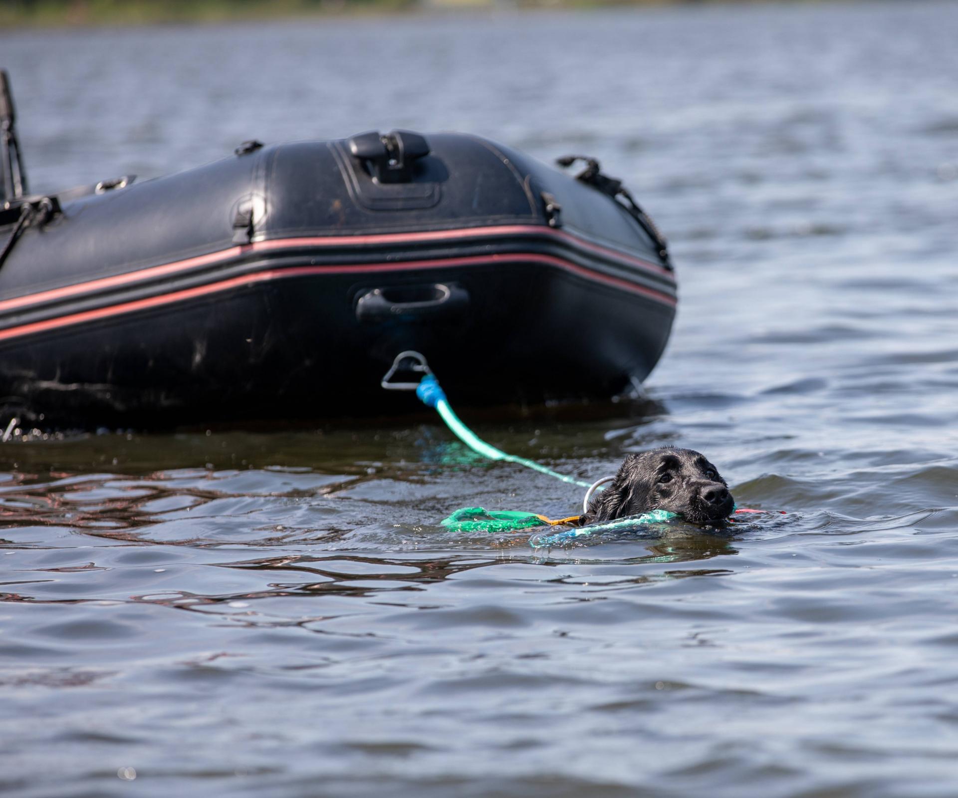 Purdey bateau a la derive 3